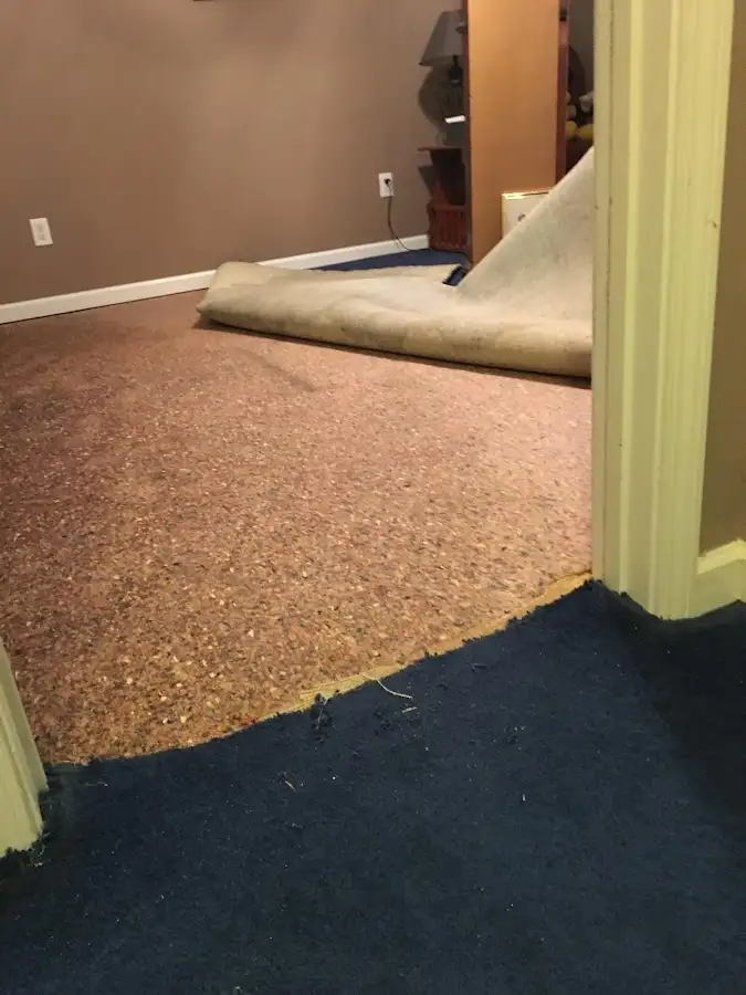 Carpet pad removal revealing water damage during Drying & Dehumidification in Steamboat Springs